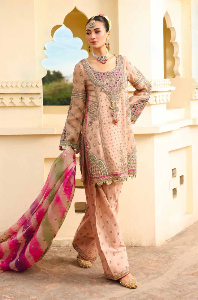 Pure Organza Embroidered Fully Heavy Sequence Adda Work - RC 1351