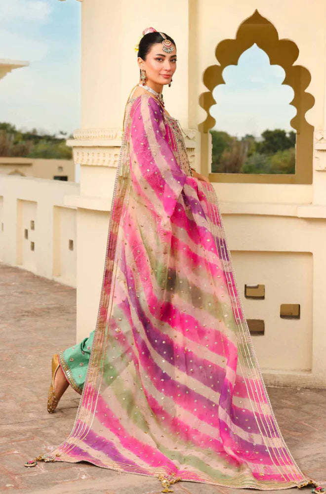 Pure Organza Embroidered Fully Heavy Sequence Adda Work - RC 1351